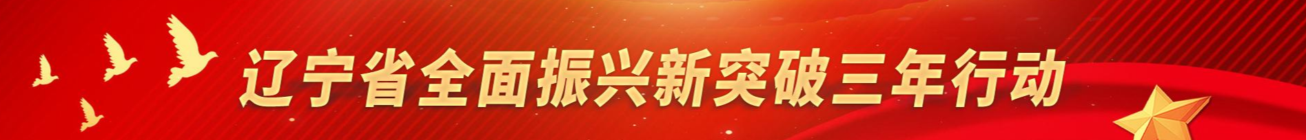 贯彻落实习近平总书记在深入推进东北振兴座谈会上的重要讲话精神